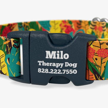 Personalized Jungle Overgrowth collar